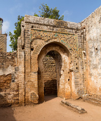 Naklejka premium Roman ruins at Chellah Morocco