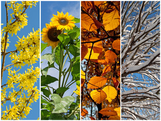 Bilder und Videos suchen: "4 jahreszeiten"