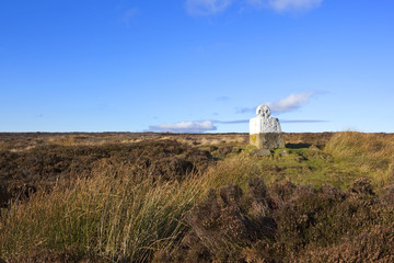 moorland standing stone