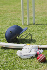 Cricket batting gears in a field