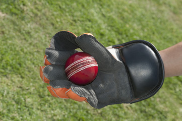 Wicket keeper catching a ball - Powered by Adobe