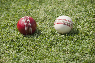 Close-up of two cricket balls on grass