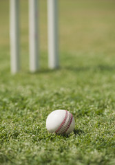 Close-up of a cricket ball on grass