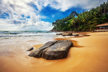 tropical beach under gloomy sky