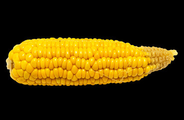 corn on a black background