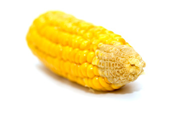 corn on a white background © schankz