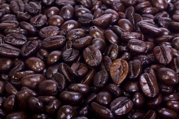 Close-up of coffee beans