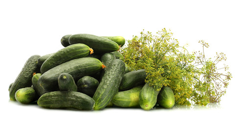 fresh cucumbers and dill  isolated on white
