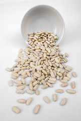 white beans on bowl
