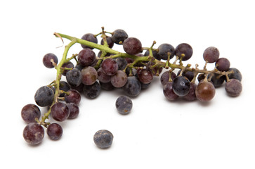 black grapes on a white background