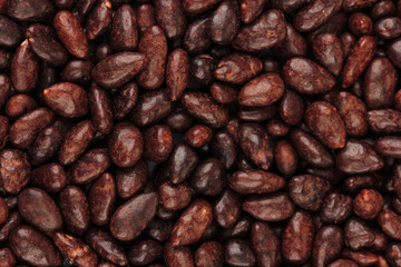 Sunflower grains in chocolate, close up