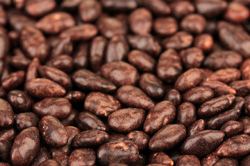 Sunflower grains in chocolate, close up