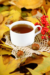 Cup of hot beverage, on yellow leaves background