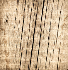 old wooden background