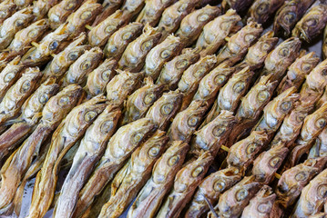 Dry salty fish