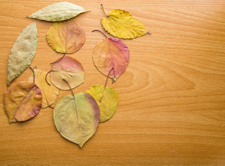 Fototapeta na wymiar autumn leaves on a wooden background
