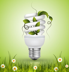 Energy saving lamp with green leaves and grass