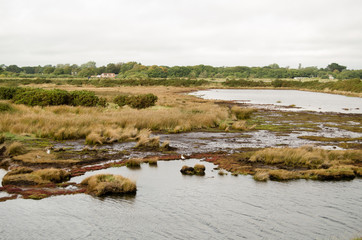 Salt Marsh, Keyhaven Reserve, Hampshire
