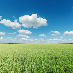 green field and clouds on blue sky