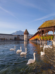 Lucerne, early morning