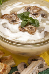 domestic mushroom soup with cream and toasted bread
