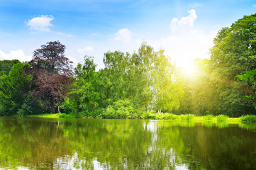 scenic lake in the summer park © alinamd