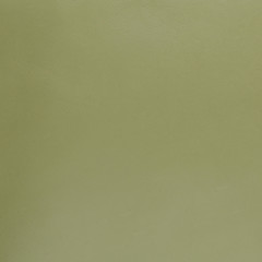Green leather