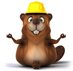 Beaver © Julien Tromeur