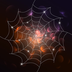 Vector white cobweb on dark background