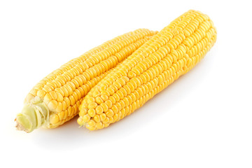 Corn cobs