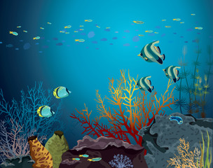 Naklejka na ściany i meble Coral reef and underwater creatures.