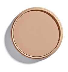 powder brush make up beauty