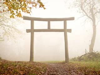 Gardinen japanisches Torii © eyetronic