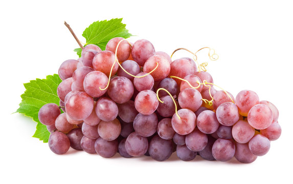 Fresh red grapes with leaves. Isolated on white