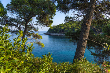 Naklejka premium At the Lokrum island