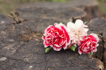 Postcard with flowers on wooden background