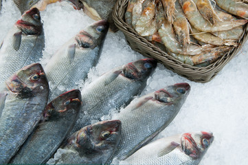 Fresh fish and seafood on ice decorated for sale at market