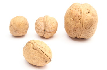 Brown and fresh walnuts on white background