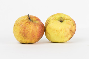 apple on the white background