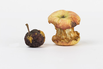 apple on the white background