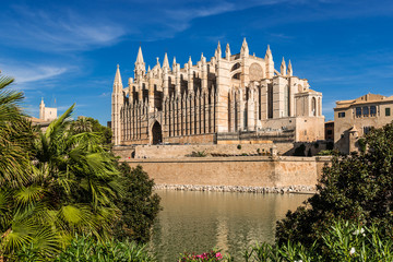 Kathedrale La Seu, Palma de Mallorca 6651