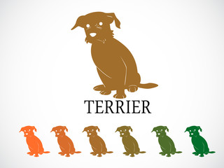 terrier dog