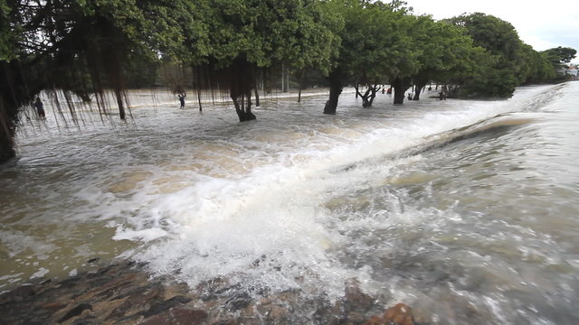 Flood, Water flow over road, tree line background.