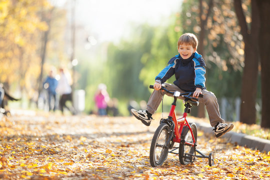 Happy boy with bicycle in the autumn park