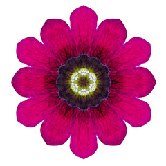 Purple Kaleidoscopic Flower Mandala Isolated on White