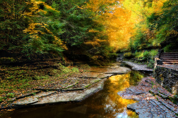 Autumn Forest River