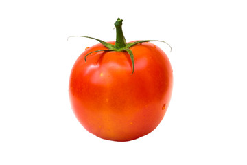 Tomato isolated on white