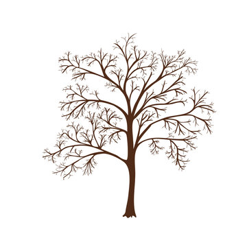 icon silhouette of a tree with no leaves