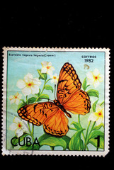 A Stamp printed in CUBA