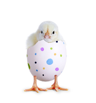 Osterk&uuml;ken im Punkteei